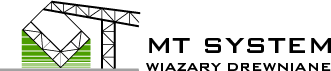 Mt System Logo